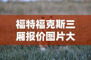 福特福克斯三厢报价图片大全  第1张
