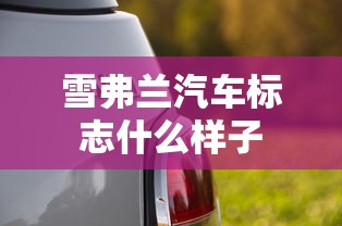 山河令电视剧全集在线观看完整版  第1张
