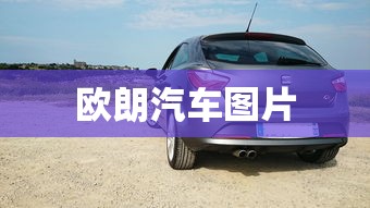 欧朗汽车图片  第1张