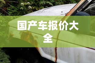 国产车报价大全  第1张