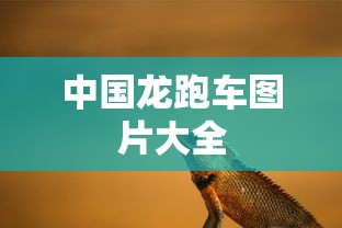 中国龙跑车图片大全  第1张