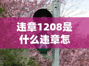 违章1208是什么违章怎么处理  第1张