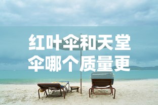 红叶伞和天堂伞哪个质量更好  第1张