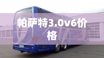 帕萨特3.0v6价格  第1张