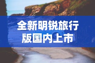全新明锐旅行版国内上市  第1张