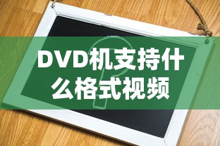 DVD机支持什么格式视频  第1张