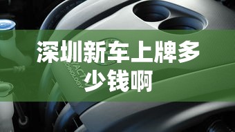 深圳新车上牌多少钱啊  第1张