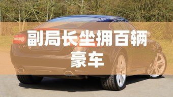副局长坐拥百辆豪车  第1张