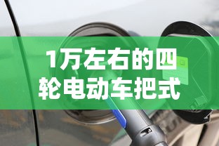 1万左右的四轮电动车把式车  第1张