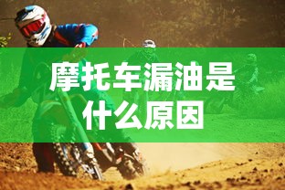 摩托车漏油是什么原因  第1张