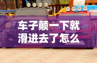 车子颠一下就滑进去了怎么办小说  第1张