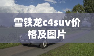 雪铁龙c4suv价格及图片  第1张