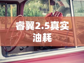 睿翼2.5真实油耗  第1张