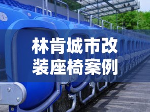 林肯城市改装座椅案例  第1张