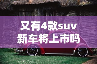 又有4款suv新车将上市吗  第1张
