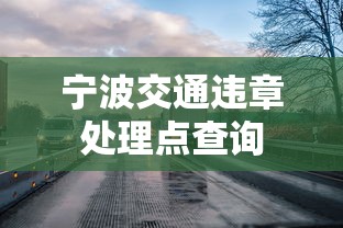 宁波交通违章处理点查询  第1张