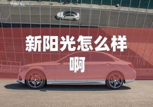 新阳光怎么样啊  第1张
