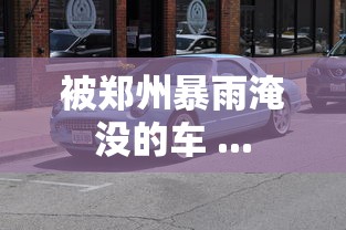 被郑州暴雨淹没的车 ...  第1张