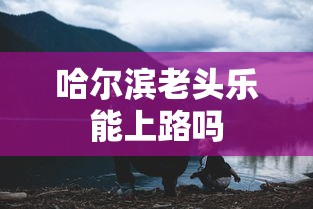 哈尔滨老头乐能上路吗  第1张