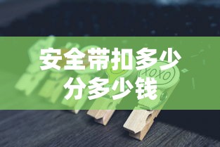 安全带扣多少分多少钱  第1张