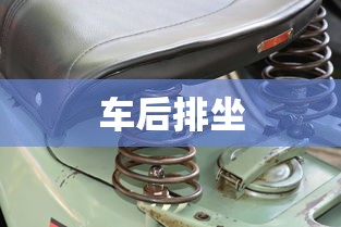 车后排坐  第1张