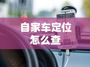 自家车定位怎么查  第1张