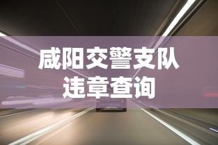 咸阳交警支队违章查询  第1张