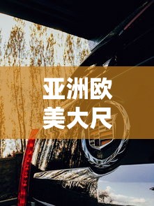亚洲欧美大尺寸suv日批  第1张