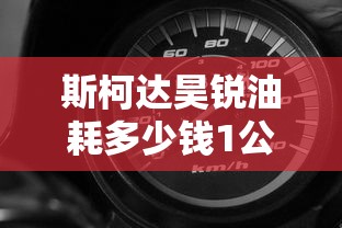 斯柯达昊锐油耗多少钱1公里  第1张