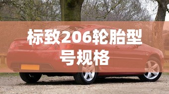 标致206轮胎型号规格  第1张
