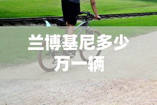兰博基尼多少万一辆  第1张