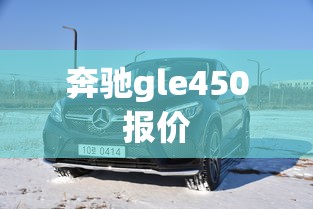奔驰gle450报价  第1张