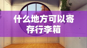 什么地方可以寄存行李箱  第1张