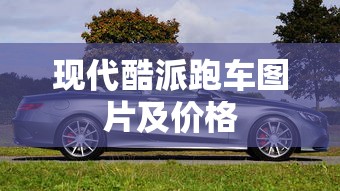 现代酷派跑车图片及价格  第1张