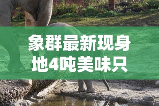 我要看电影xm66tv  第1张