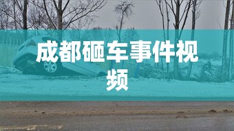 成都砸车事件视频  第1张