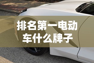 排名第一电动车什么牌子  第1张