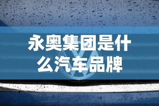 永奥集团是什么汽车品牌  第1张