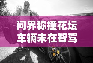 问界称撞花坛车辆未在智驾模式  第1张