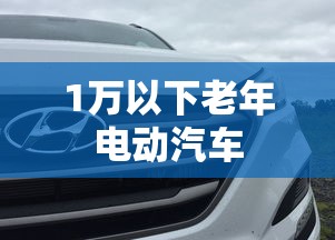 1万以下老年电动汽车  第1张