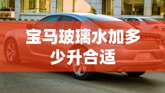 宝马玻璃水加多少升合适  第1张
