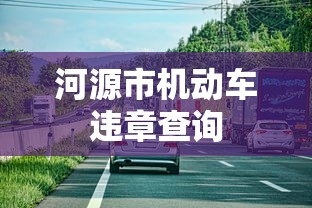 河源市机动车违章查询  第1张