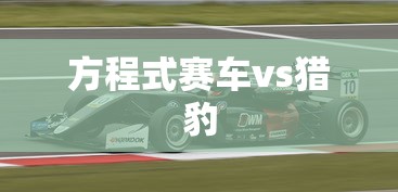 方程式赛车vs猎豹  第1张