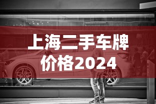 上海二手车牌价格2024  第1张