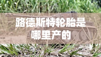 路德斯特轮胎是哪里产的  第1张