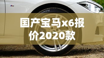 国产宝马x6报价2020款  第1张