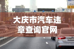 大庆市汽车违章查询官网  第1张