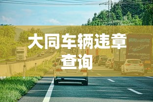 大同车辆违章查询  第1张