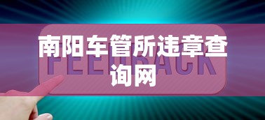 南阳车管所违章查询网  第1张