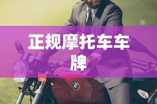 正规摩托车车牌  第1张